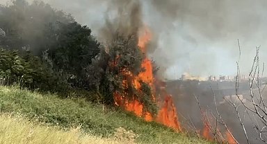 İstanbul - Büyükçekmece'de otluk alanda çıkan yangın söndürüldü