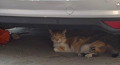 İstanbul - Kağıthane'de balkonun çöktüğü anlar kamerada: Bina tahliye edilip mühürlendi