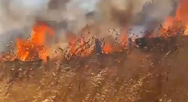 İstanbul- Silivri'de 4 ayrı noktada çıkan anız yangını söndürüldü