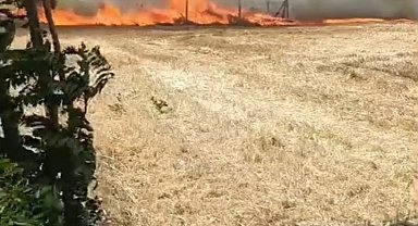 İstanbul- Silivri'de buğday tarlasında çıkan yangın söndürüldü