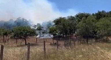 İstanbul- Silivri'de orman yangını -3