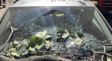 İstanbul - Şişli'de kurumuş ağaç dalı aracın üzerine düştü; bir kişi son anda kurtuldu