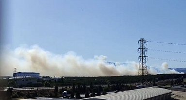 İstanbul- Tuzla'da otluk alanda çıkan yangın söndürüldü