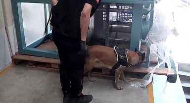 İstanbul'da TIR'da 60 kilogram kokain ele geçirildi; 1 gözaltı