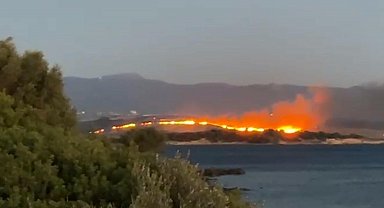 İzmir Aliağa'da otluk yangını çıktı