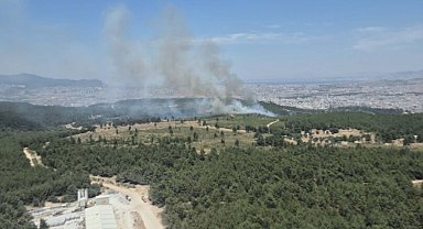 İzmir Buca'da orman yangını
