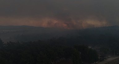 İzmir Buca'da orman yangını