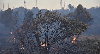 İzmir Çeşme'de orman yangını