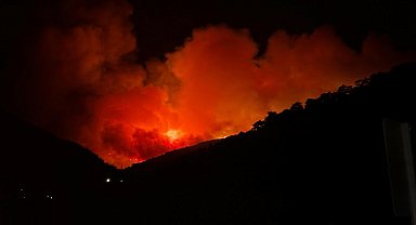 İzmir Ödemiş'te orman yangını