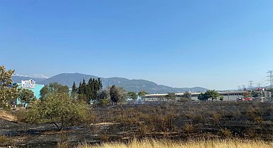 İzmir'de çıkan ot yangını AVM otoparkına sıçradı; 2 otomobilde hasar oluştu