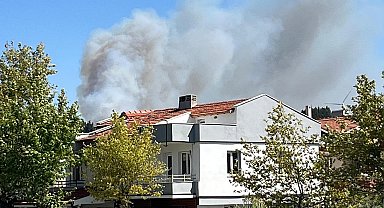 İzmir'de orman yangını