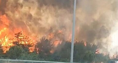İzmir'de orman yangını