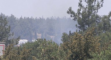 İzmir'de orman yangını