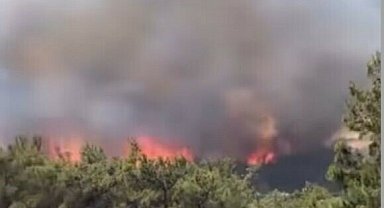 İzmir'de orman yangını