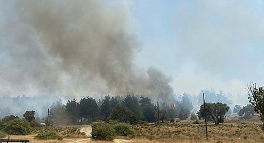 İzmir'de orman yangını