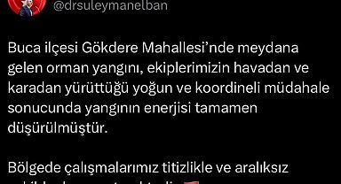 İzmir'de orman yangını