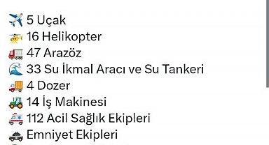 İzmir'de orman yangını