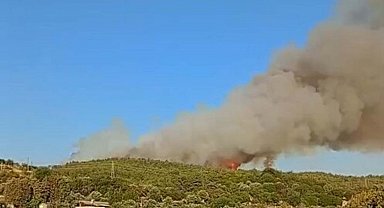 İzmir'de orman yangını