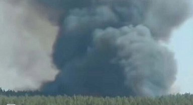 İzmir'de orman yangını