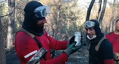 İzmir'de orman yangınında can çekişirken bulunan balığı itfaiye kurtardı