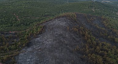 İzmir'deki orman yangını 2'nci gününde; yanan alanlar dronla görüntülendi