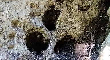 Jandarmadan kaçak kazıya suçüstü