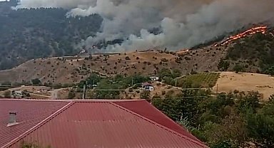 Kahramanmaraş'ta orman yangını