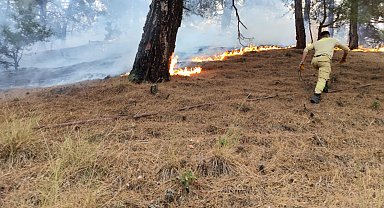 Kahramanmaraş'taki orman yangınında 2'nci gün