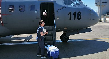 Kalp grefti, Hava Kuvvetleri'ne ait uçakla İzmir'e ulaştırıldı