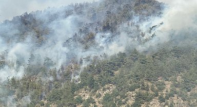 Karabük'te orman yangını