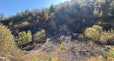Karabük'te orman yangınına müdahale sürüyor; 55 hektar alan zarar gördü