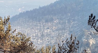 Karabük'te orman yangınlarına müdahale sürüyor