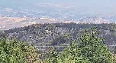 Karabük'teki 3 yangından biri kontrol altında