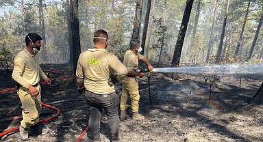 Karabük'teki orman yangınları 5'inci günde