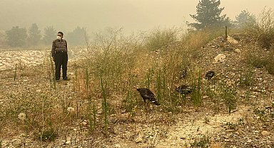 Karabük'teki orman yangınlarına müdahale sürüyor