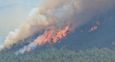 Karabük'teki orman yangınlarında 4'üncü gün