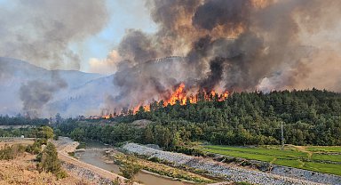 Karabük'teki orman yangınlarında 4'üncü gün