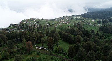 Karadeniz'in yaylalarına 'sıcak' göçü