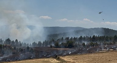 Kastamonu'da anız yangını ormana sıçradı; 10 hektar alan zarar gördü