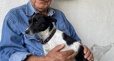 Kazada yaralanan sahibini ambulansta da yalnız bırakmadı