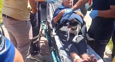 Kazada yaralanan sahibinin ambulansta da başından ayrılmadı