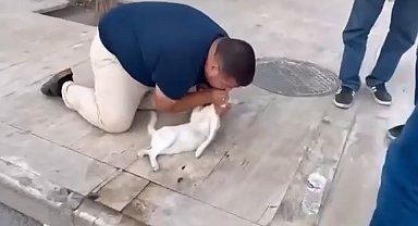 Kediyi, suni teneffüs ve kalp mesajı ile kurtarmaya çalıştı