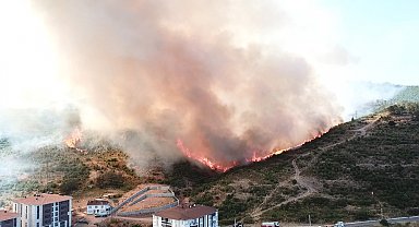 Kocaeli'de orman yangını
