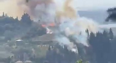 Kocaeli'de orman yangını