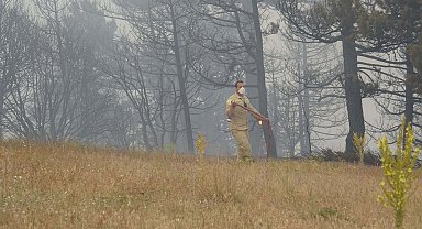 Konya'da orman yangını