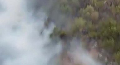 Konya'daki orman yangını 2'nci gününde