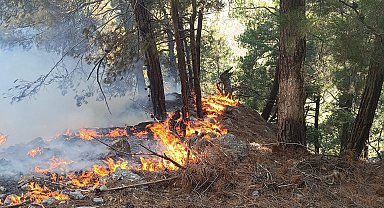 Kozan'da orman yangını 25 saat sonra kontrol altında