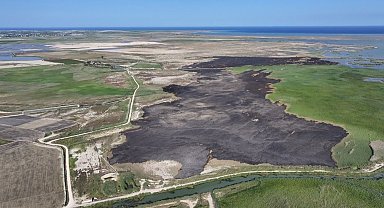 Kuş cenneti Göksu Deltası'nda yangında zarar gören alan havadan görüntülendi