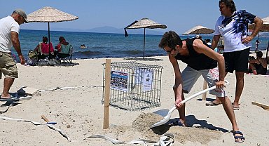 Kuşadası'nda 68 caretta caretta yumurtası zarar görmemesi için güvenli bölgeye taşındı