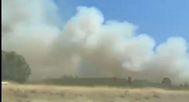 Kütahya'da orman yangını